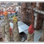 IMG_9439