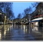 IMG_9474