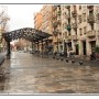 IMG_9541