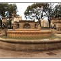 IMG_9596