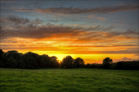 IMG_1656 5D_7 5D_8 5D SunSet copy