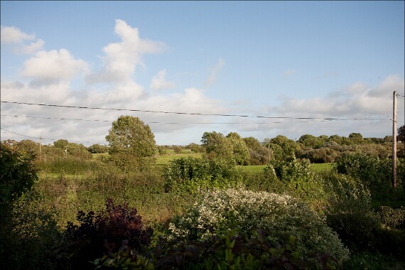 IMG_2085 5D copy