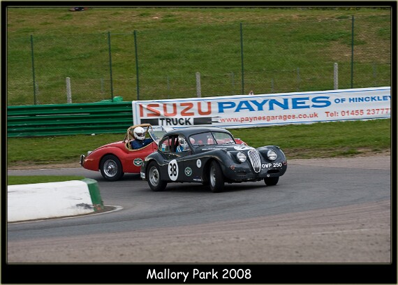 Car 38 IMG_5383 EOS-1D Mark III copy