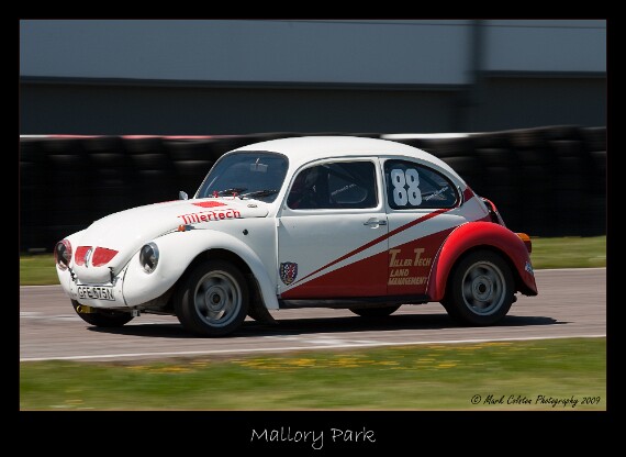 IMG_3670 EOS-1D Mark III copy