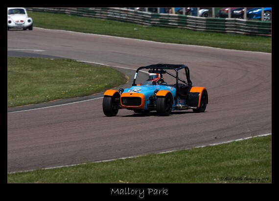 IMG_3781 EOS-1D Mark III copy