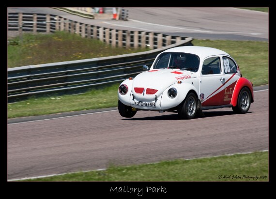 IMG_3790 EOS-1D Mark III copy