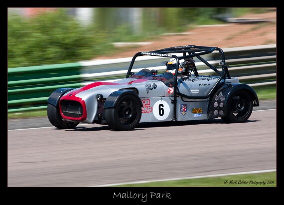 IMG_3841 EOS-1D Mark III copy