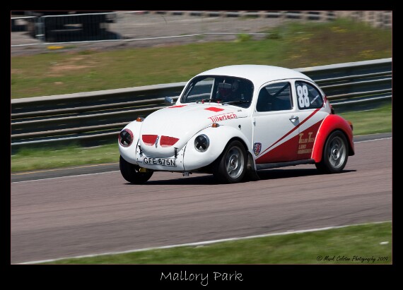 IMG_3847 EOS-1D Mark III copy
