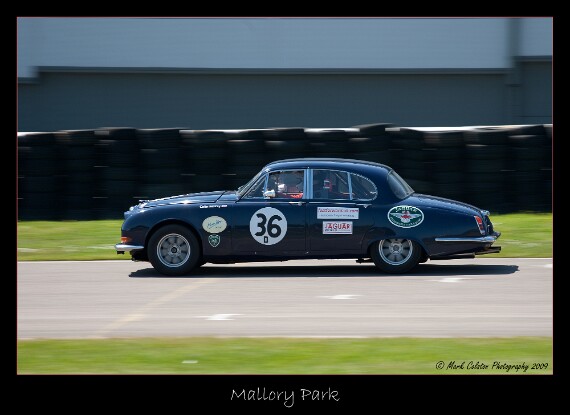 IMG_4302 EOS-1D Mark III copy