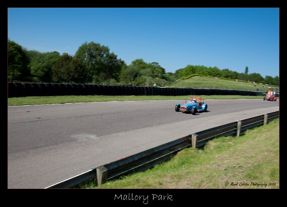 IMG_5223 EOS-1D Mark III copy