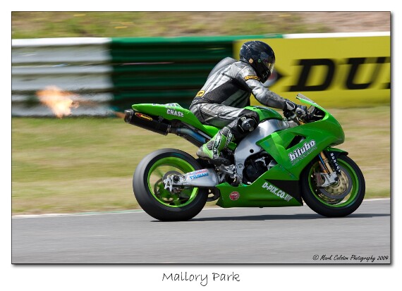 IMG_9530 EOS-1D Mark III copy