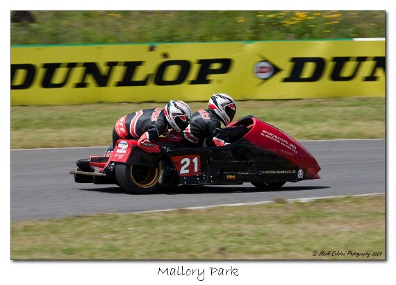 IMG_9631 EOS-1D Mark III copy