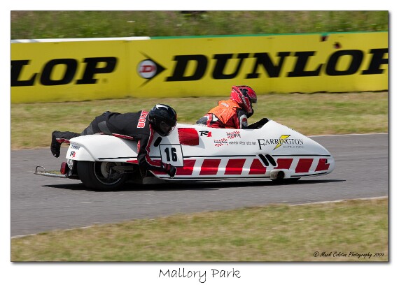 IMG_9639 EOS-1D Mark III copy