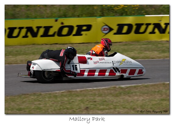 IMG_9640 EOS-1D Mark III copy