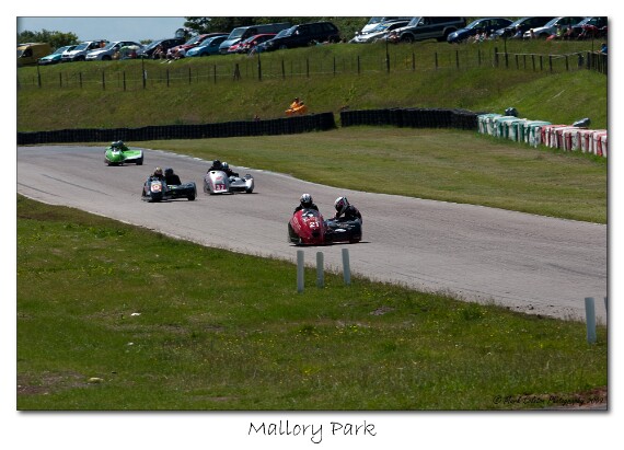 IMG_9642 EOS-1D Mark III copy