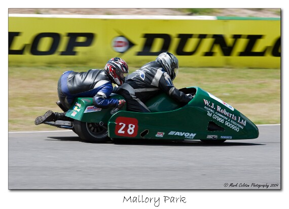 IMG_9654 EOS-1D Mark III copy