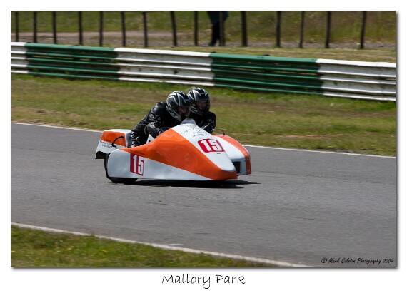 IMG_9656 EOS-1D Mark III copy