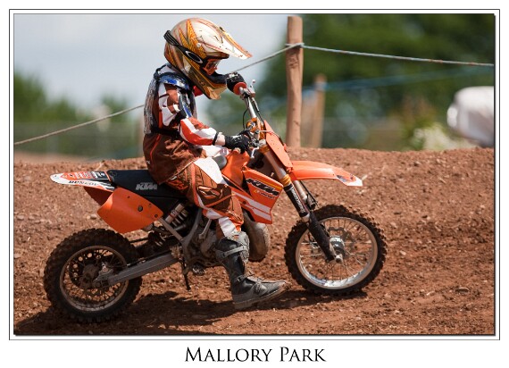 IMG_0461 EOS-1D Mark III copy