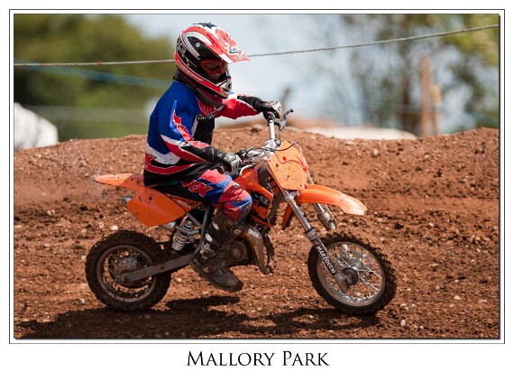 IMG_0464 EOS-1D Mark III copy