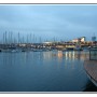 IMG_9338.jpg